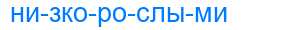 Деление слова низкорослыми